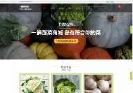 屏南营销网站